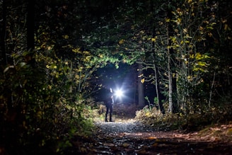 A rugged flashlight illuminating a dark forest path on a camping trip.