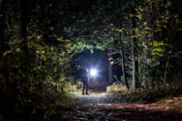 A person stands in a dark forest holding a bright flashlight, illuminating their surroundings. The dense trees and foliage are visible, with leaves scattered on the ground and some branches highlighted by the light.