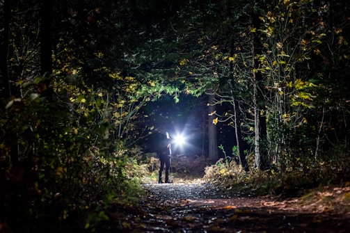 Bright LED torch illuminating a dark forest trail at night.