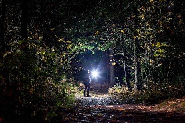 Close-up of a durable flashlight shining brightly in a dark forest setting.