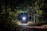 A bright flashlight illuminating a dark forest path at night.