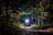 A bright flashlight illuminating a dark forest path at night.