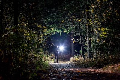 A person stands in a dark forest holding a bright flashlight, illuminating their surroundings. The dense trees and foliage are visible, with leaves scattered on the ground and some branches highlighted by the light.