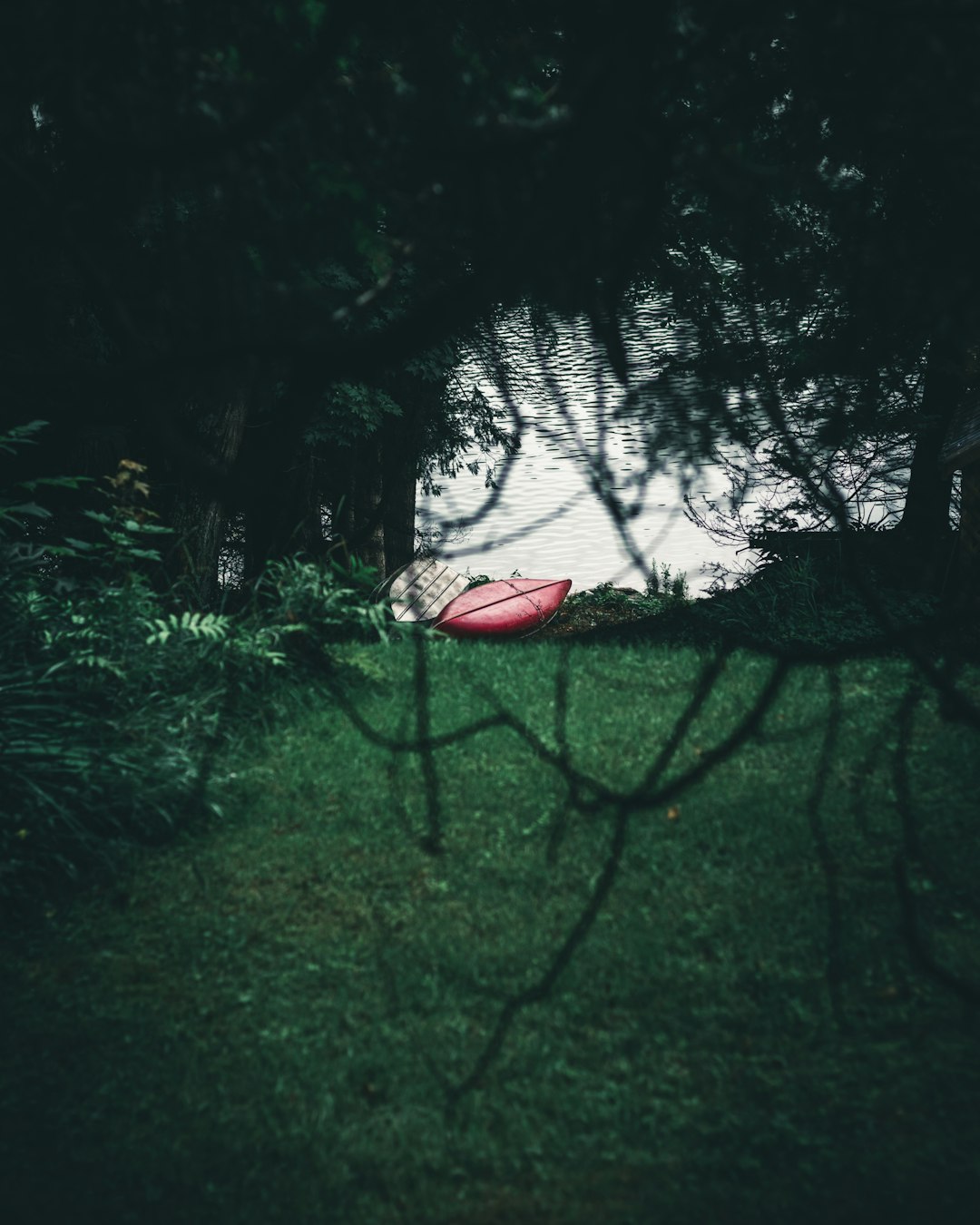 red and white tent on green grass field near trees during daytime