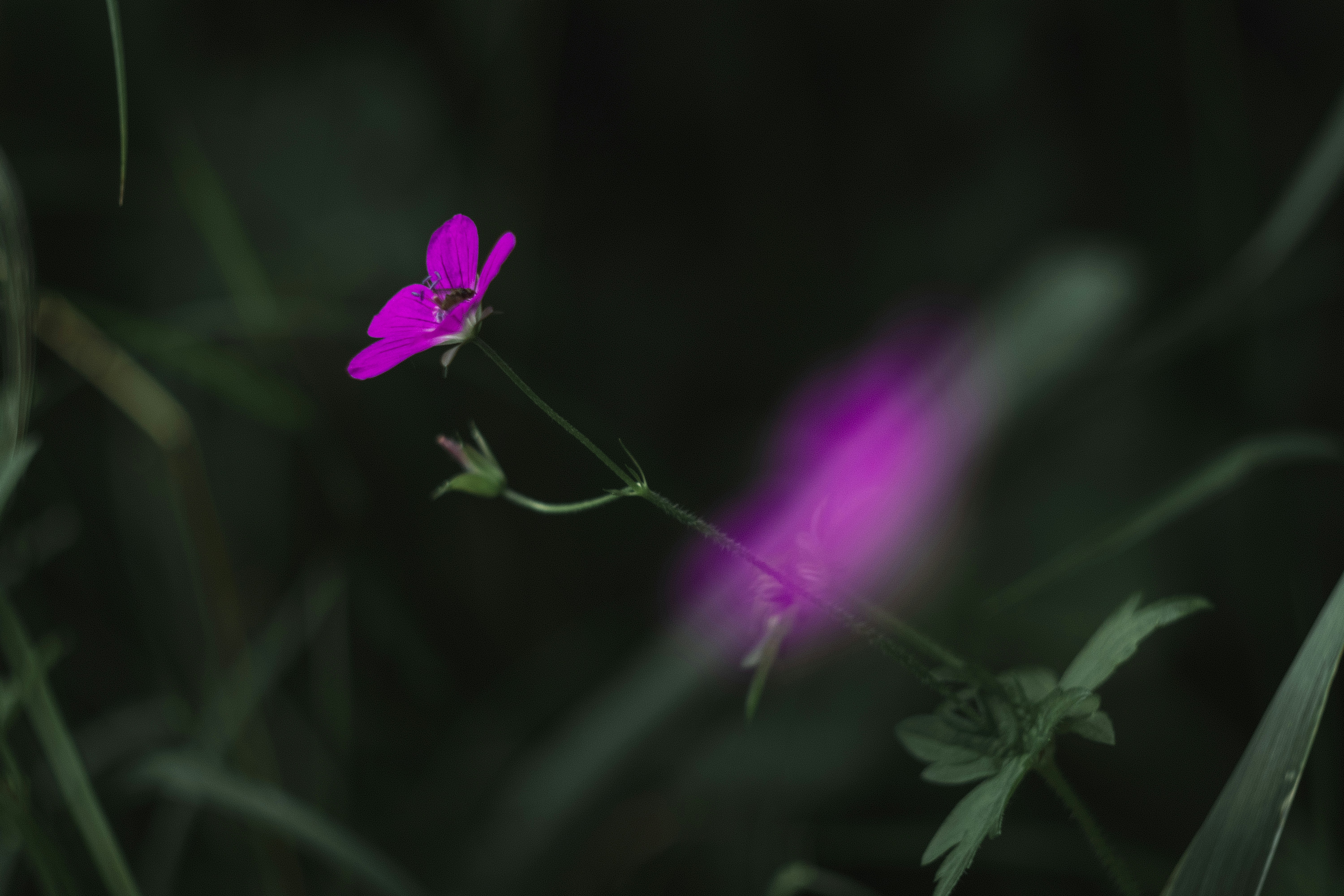 Photo by walkthecreator