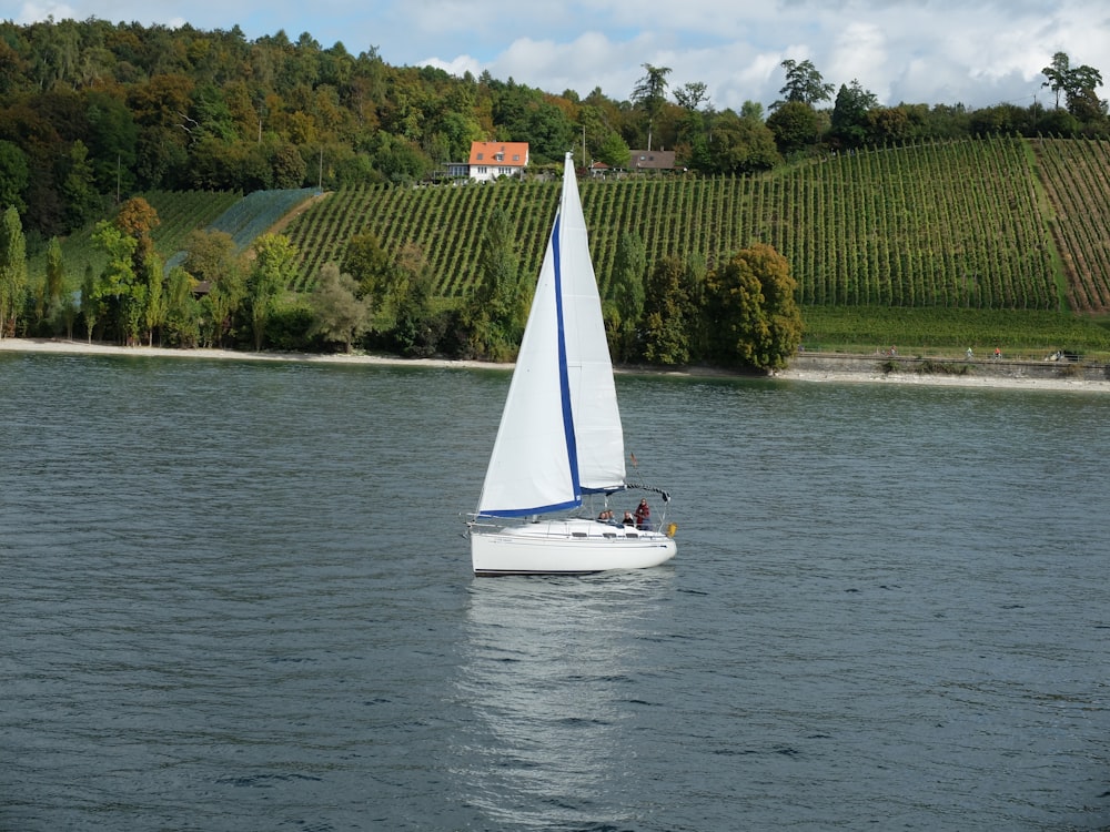 white sailboat on body of water during daytime