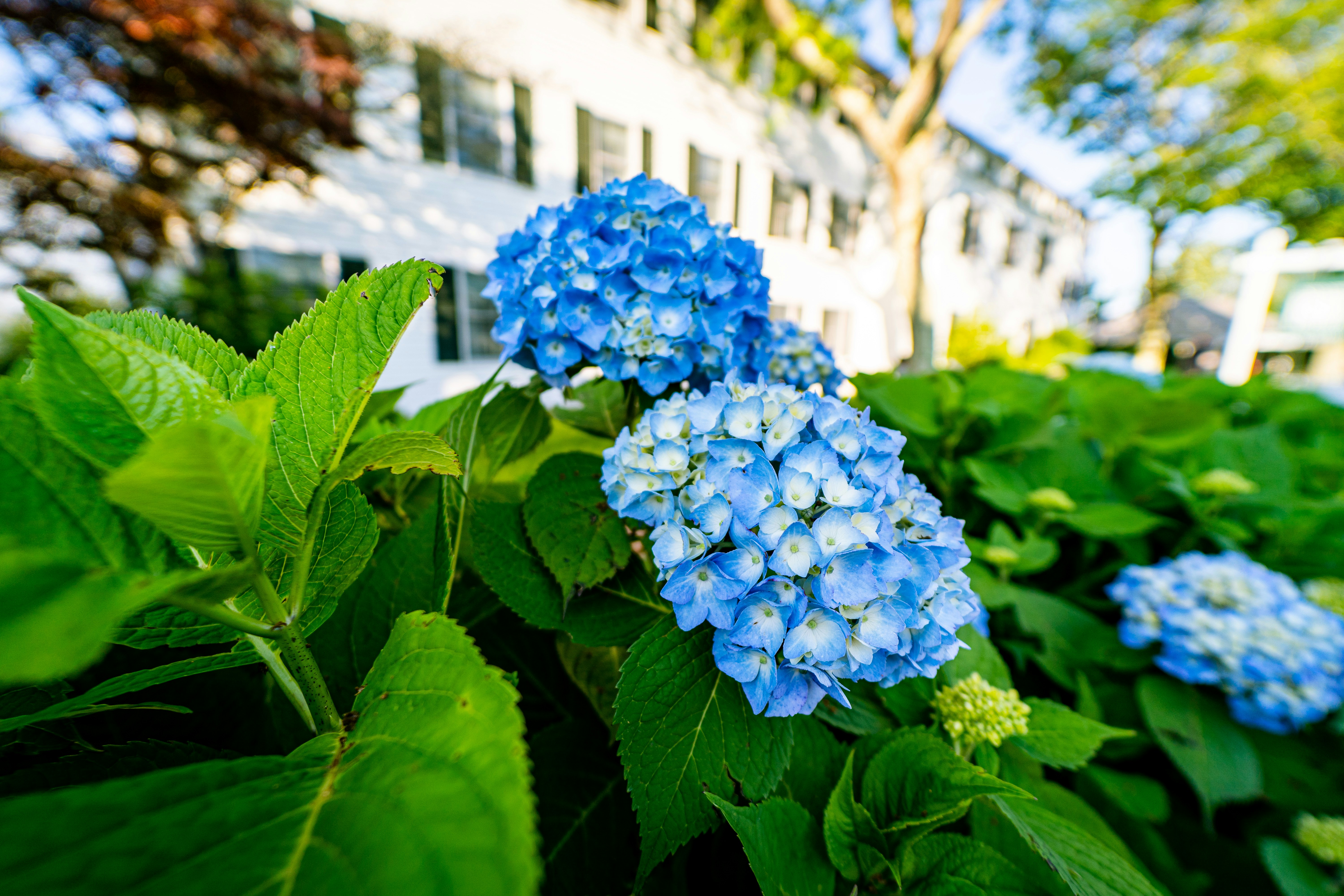 Owning And Renting A Second Home In Edgartown