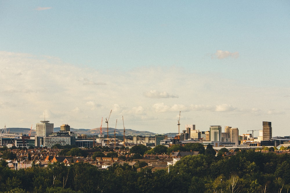 city with high rise buildings under blue sky during daytime