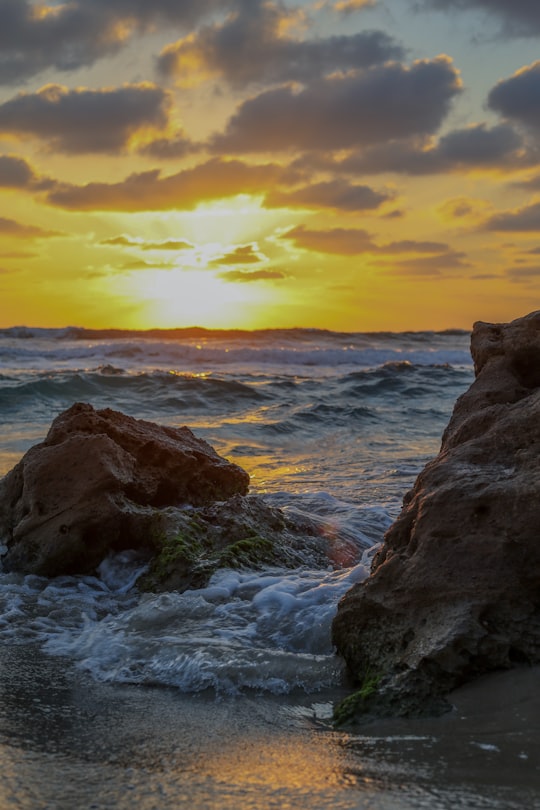 brown rock formation near sea during sunset in Michmoret Israel