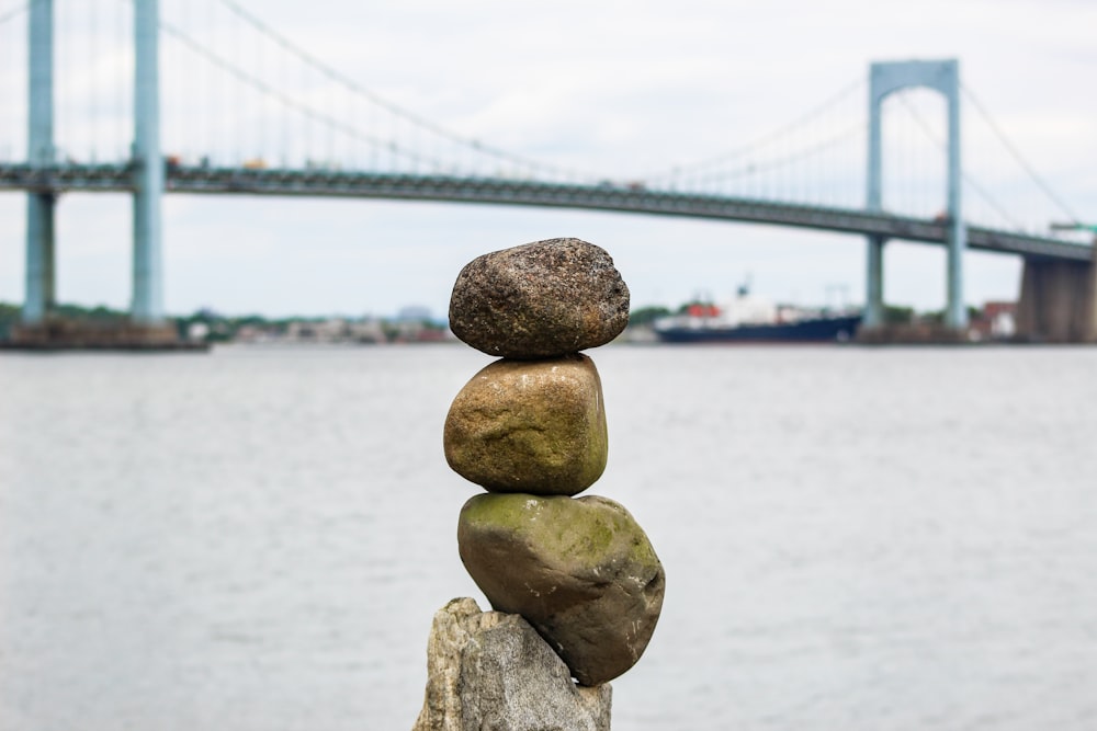 brown and gray rocks near body of water during daytime