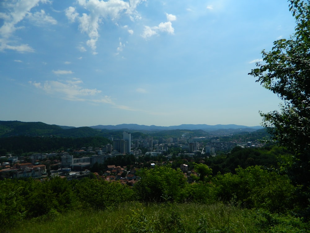 green trees and city buildings under blue sky and white clouds during daytime