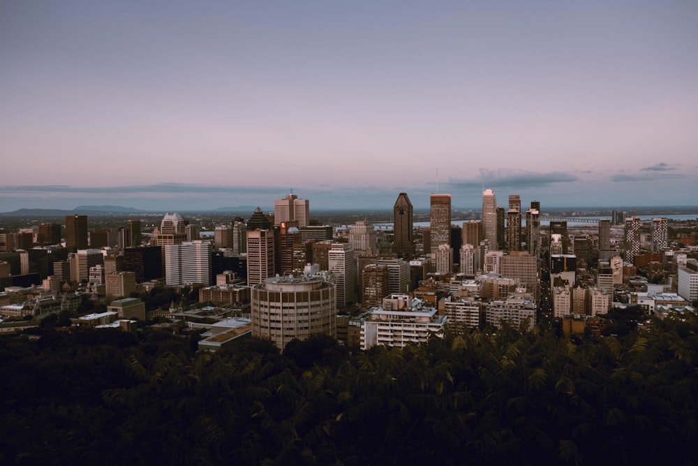 city skyline under blue sky during daytime