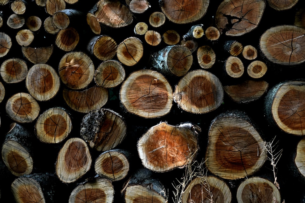 a pile of cut logs sitting next to each other