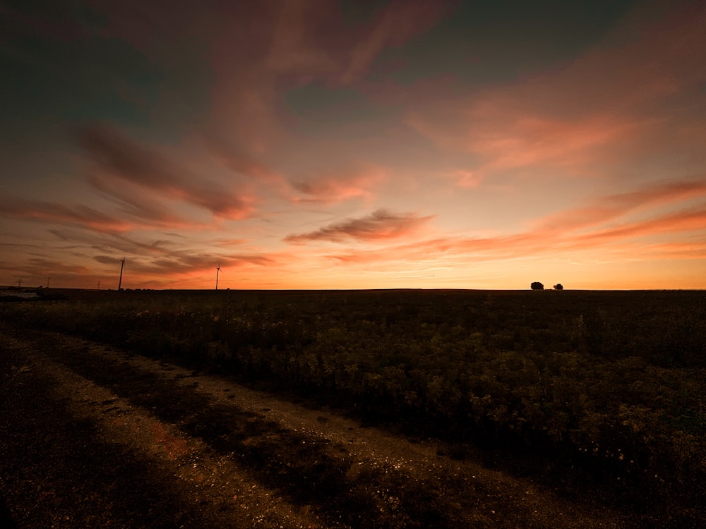 silhouette of people walking on grass field during sunset