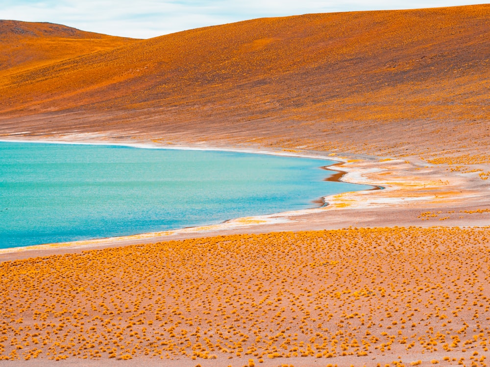 brauner Sand in der Nähe von Gewässern tagsüber