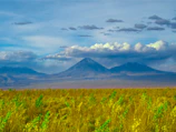 green grass field near mountain under white clouds during daytime