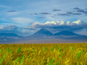 green grass field near mountain under white clouds during daytime
