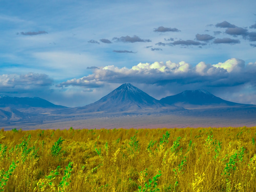 green grass field near mountain under white clouds during daytime