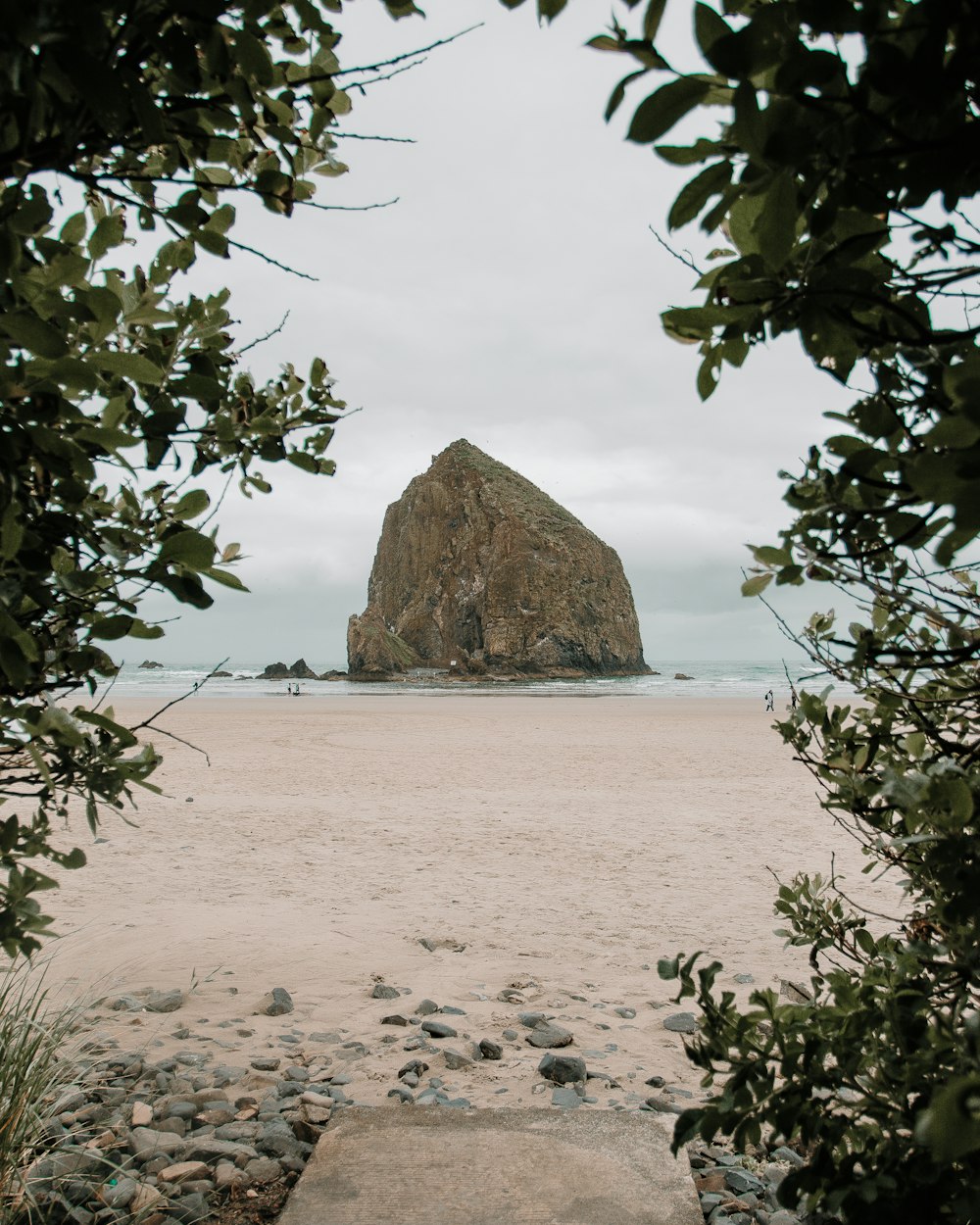 brown rock formation on beach during daytime