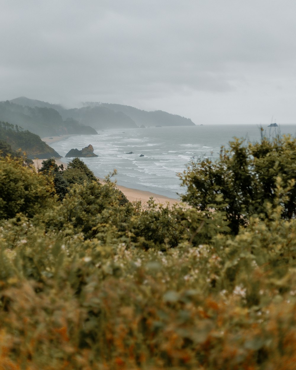 green trees near body of water during daytime