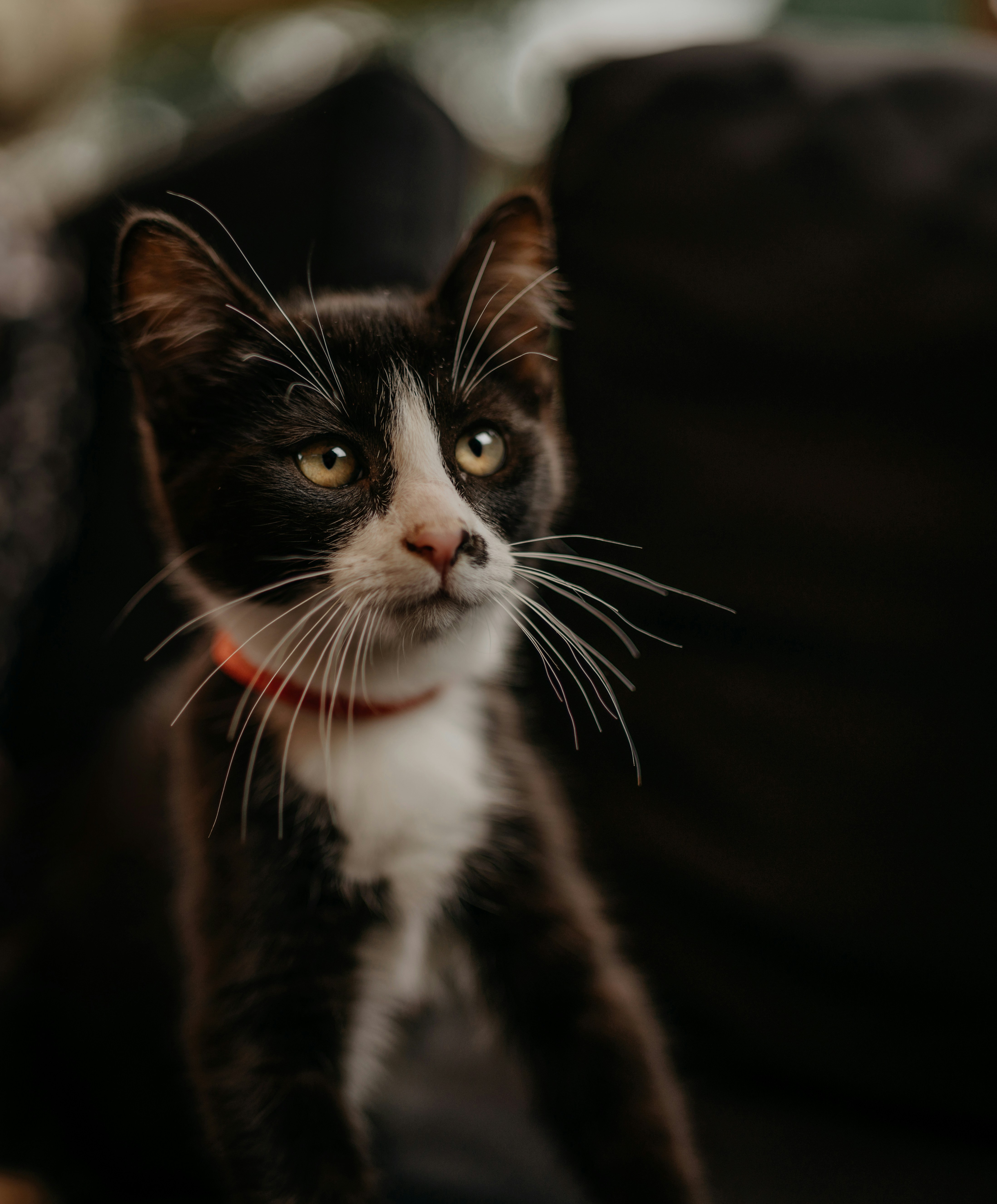 Photo by itfeelslikefilm