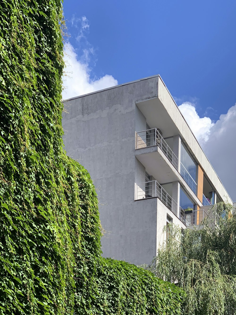 green plants beside white concrete building during daytime