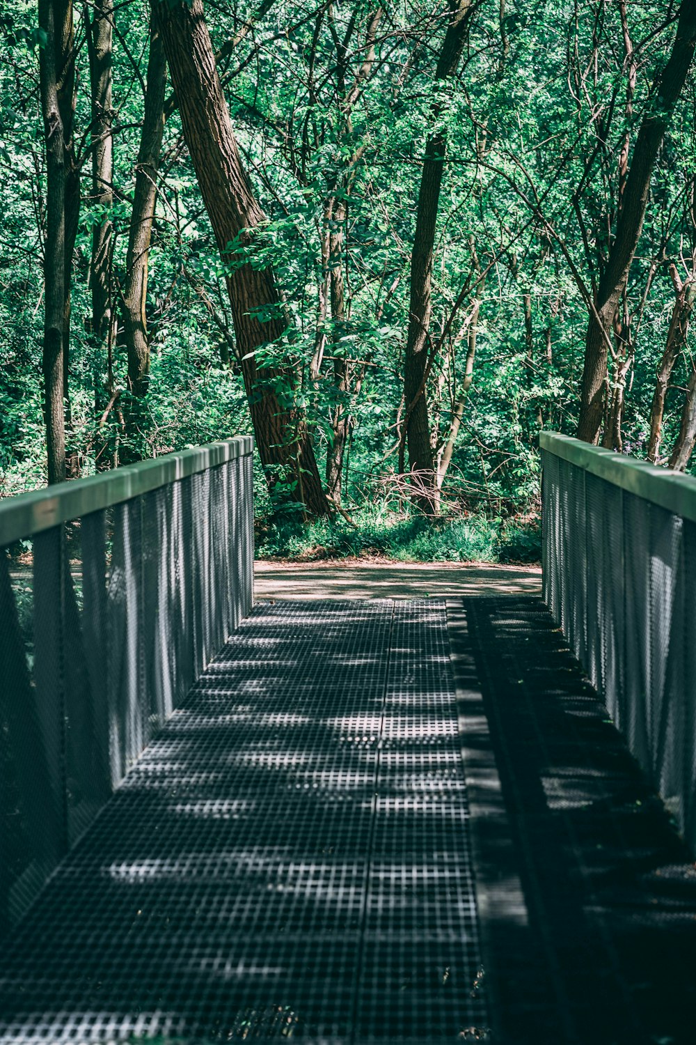 brown wooden bridge in forest during daytime