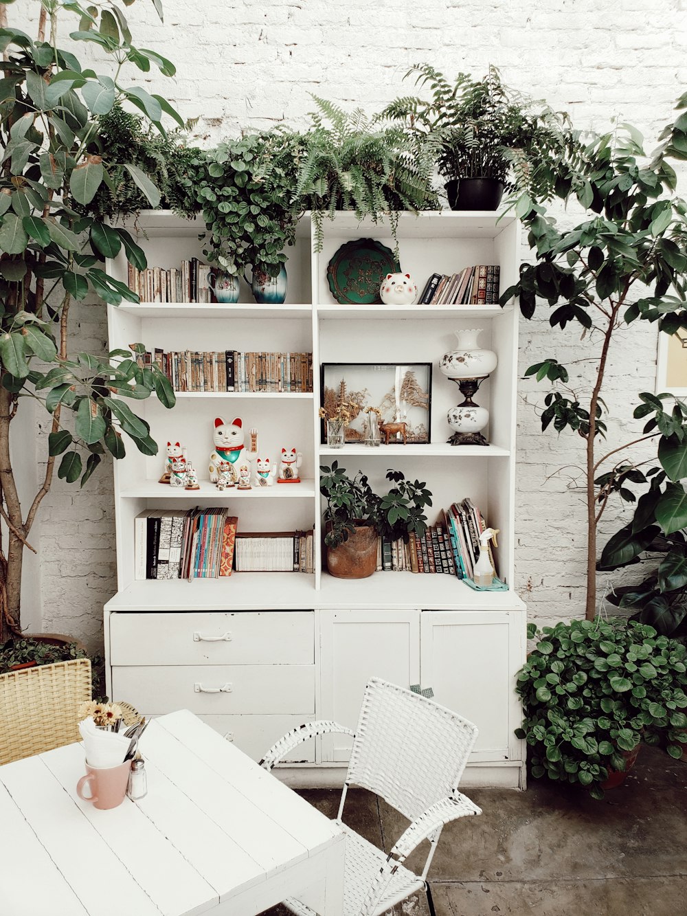 white wooden shelf with books and green plants