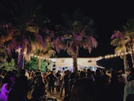 Nighttime view of the lounge with lively crowd and illuminated palm trees by the shore.