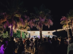 A lively outdoor nighttime gathering with a large crowd of people socializing under palm trees. String lights illuminate the area, creating a festive atmosphere. A bar or kiosk is visible in the background, adding to the party setting.