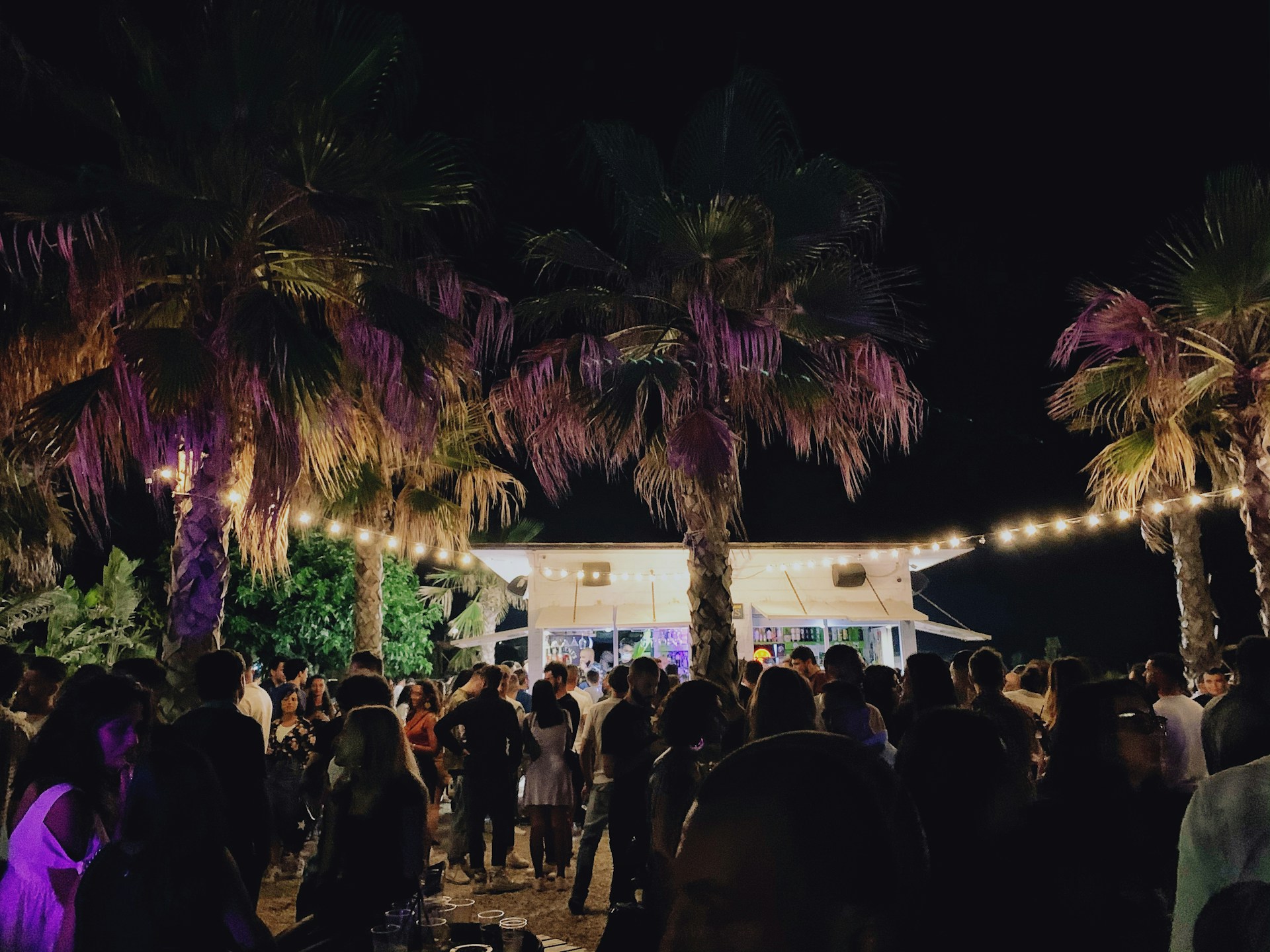Crowd dancing energetically under palm trees at an outdoor party on Saint Barth, illuminated by warm, festive lighting.