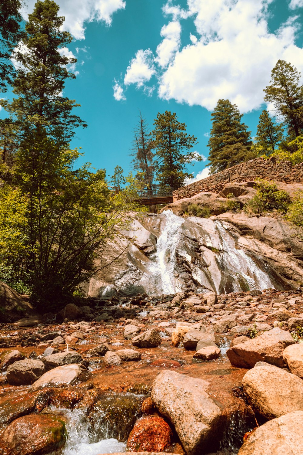 green trees near white waterfalls during daytime