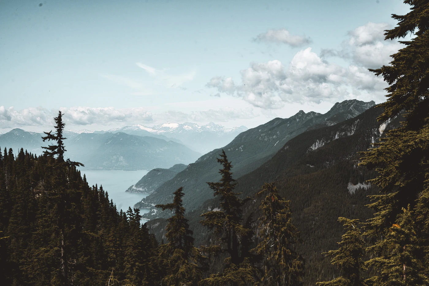 Coast Mountains rising over Howe Sound and forested slopes along the Sea to Sky corridor in British Columbia