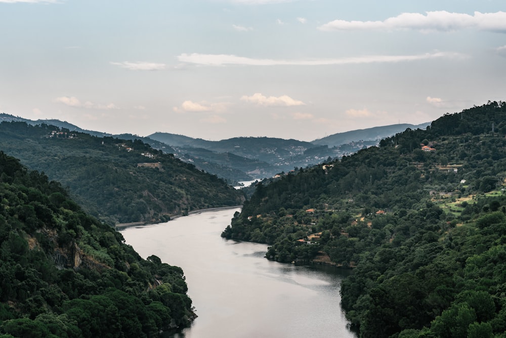 river between green trees and mountains during daytime