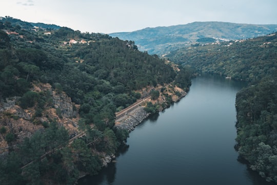 Resende things to do in Douro