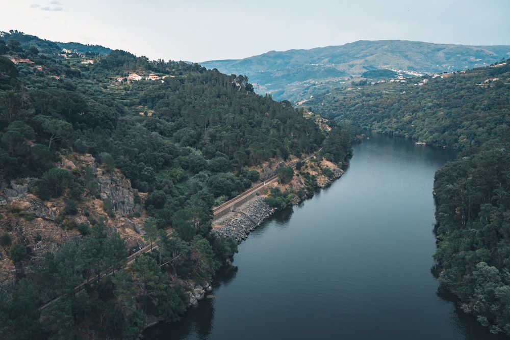 green trees near river during daytime