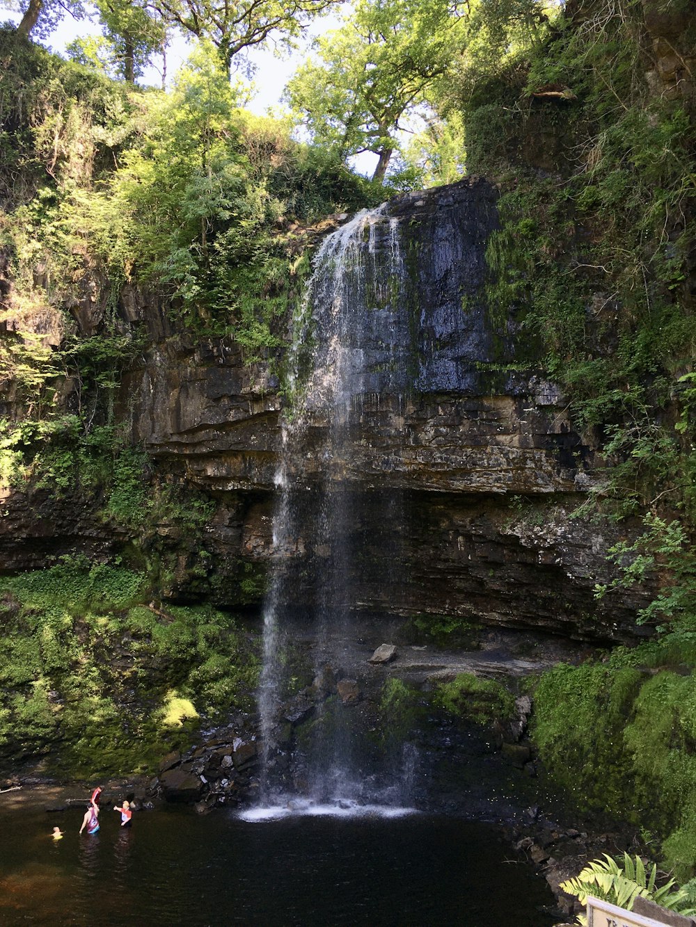 water falls between green trees during daytime