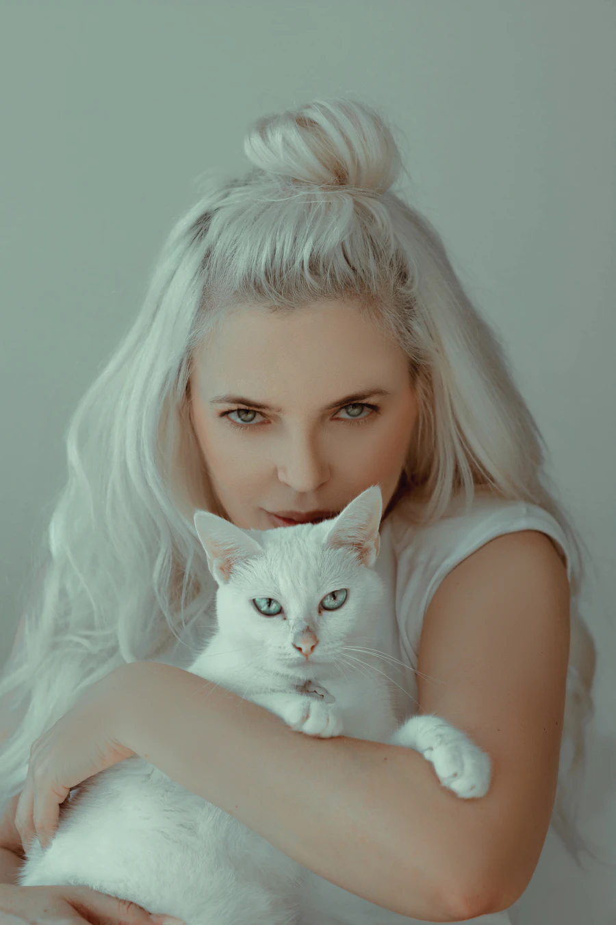 Gato repousa no colo da tutora em ambiente aconchegante