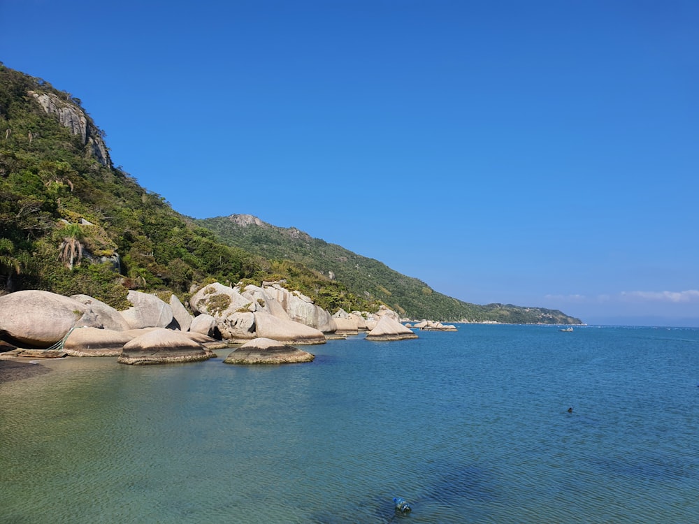 green and brown mountain beside body of water during daytime