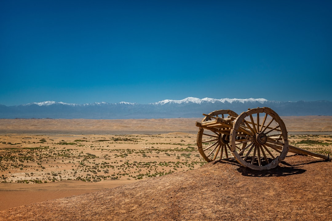 brown wooden carriage on brown sand under blue sky during daytime