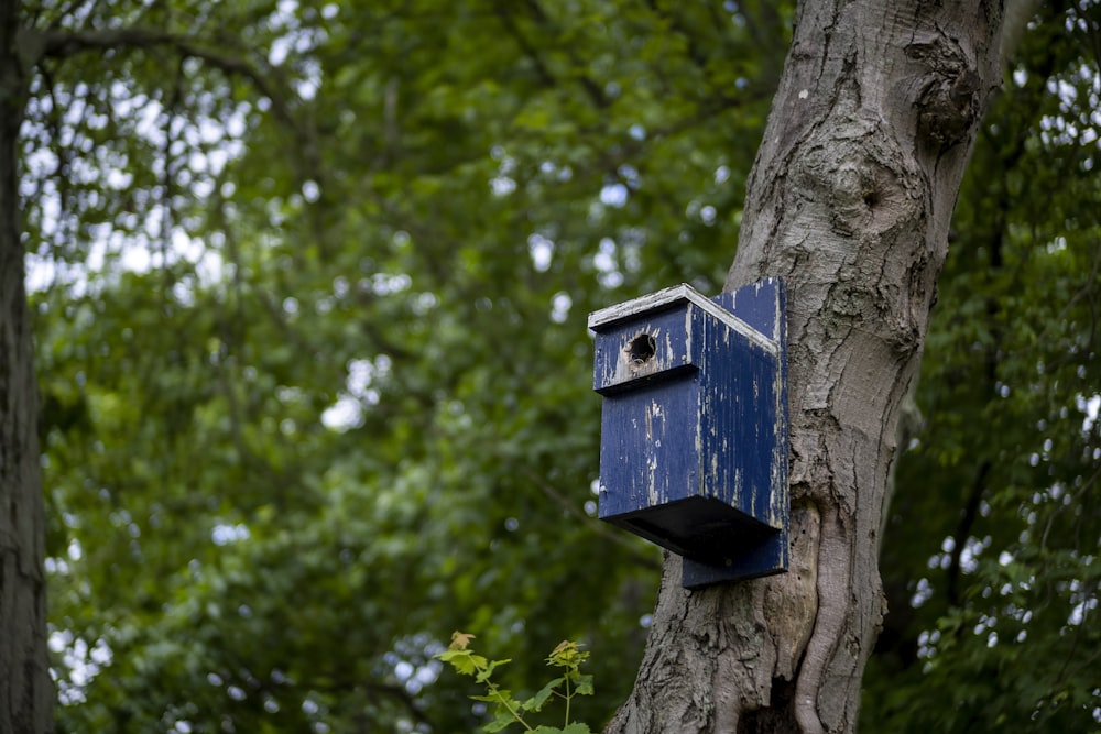 a blue birdhouse hanging from a tree