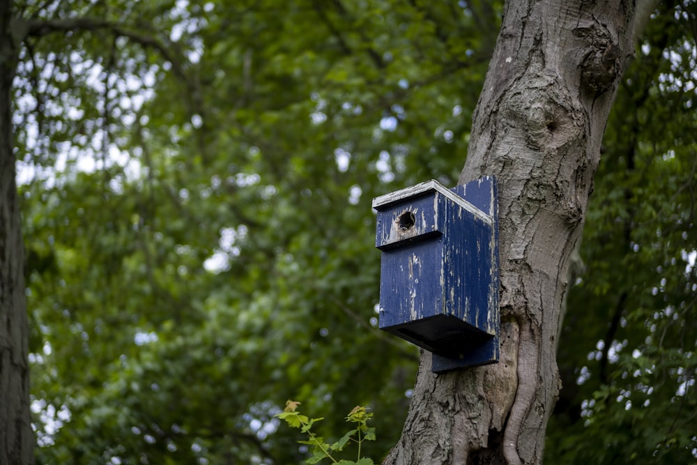 Ein blaues Vogelhaus, das an einem Baum hängt