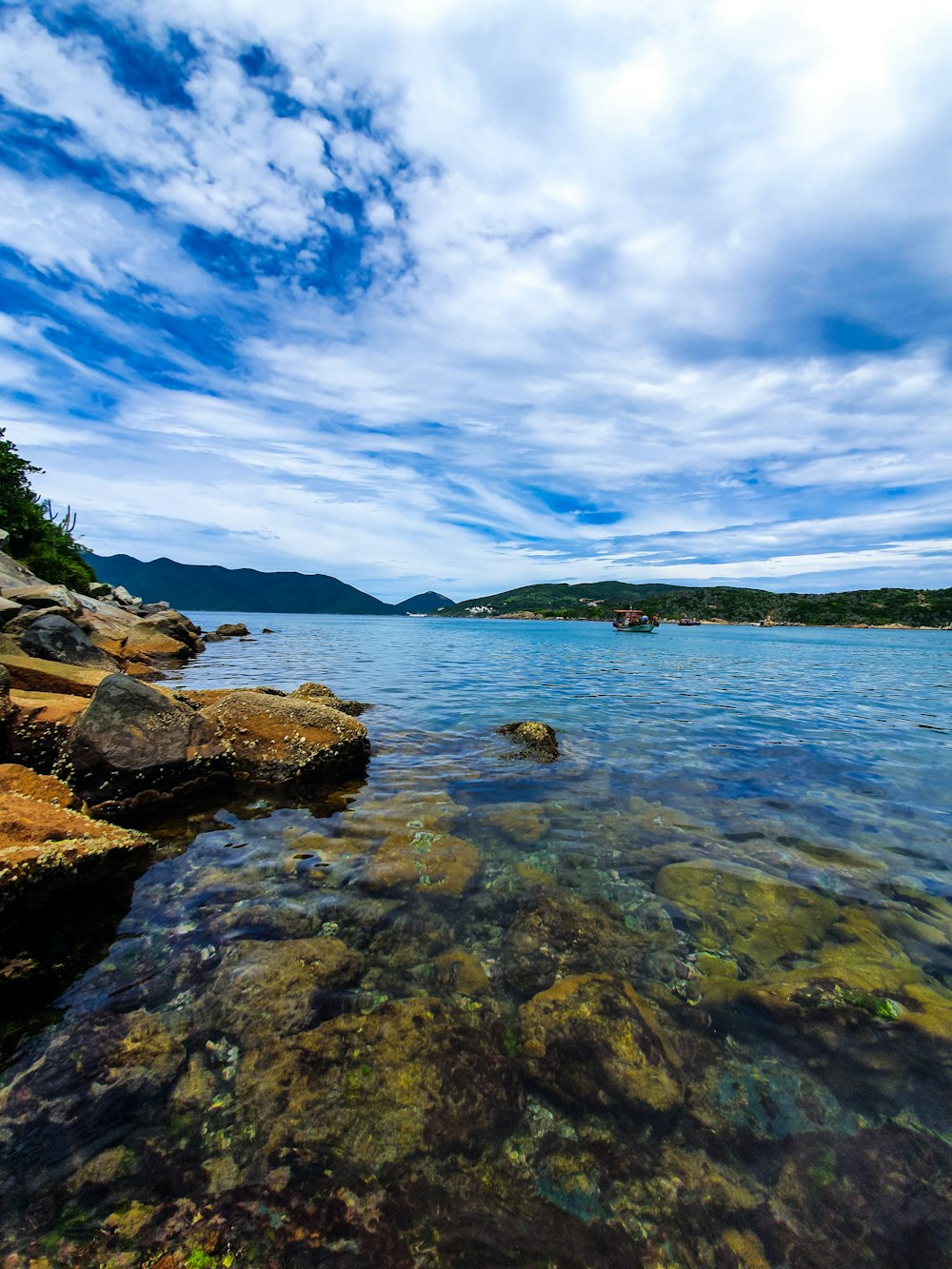 body of water near green trees under blue sky during daytime