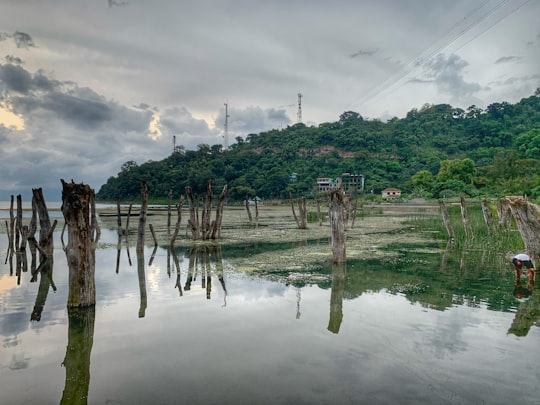 green trees on body of water under cloudy sky during daytime in Lago de Atitlán Guatemala