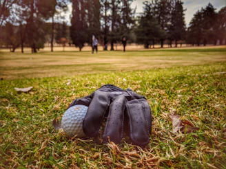 Close-up of a sleek golf glove resting on fresh green grass at sunrise.