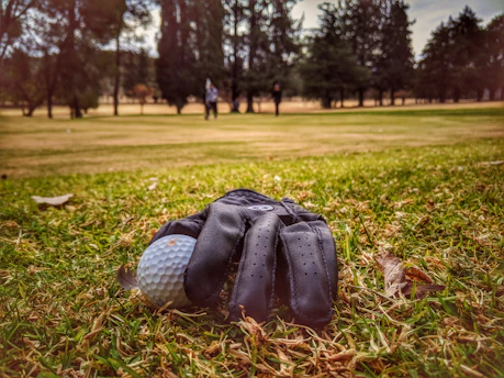 A sleek golf glove resting on fresh green grass under soft morning light.