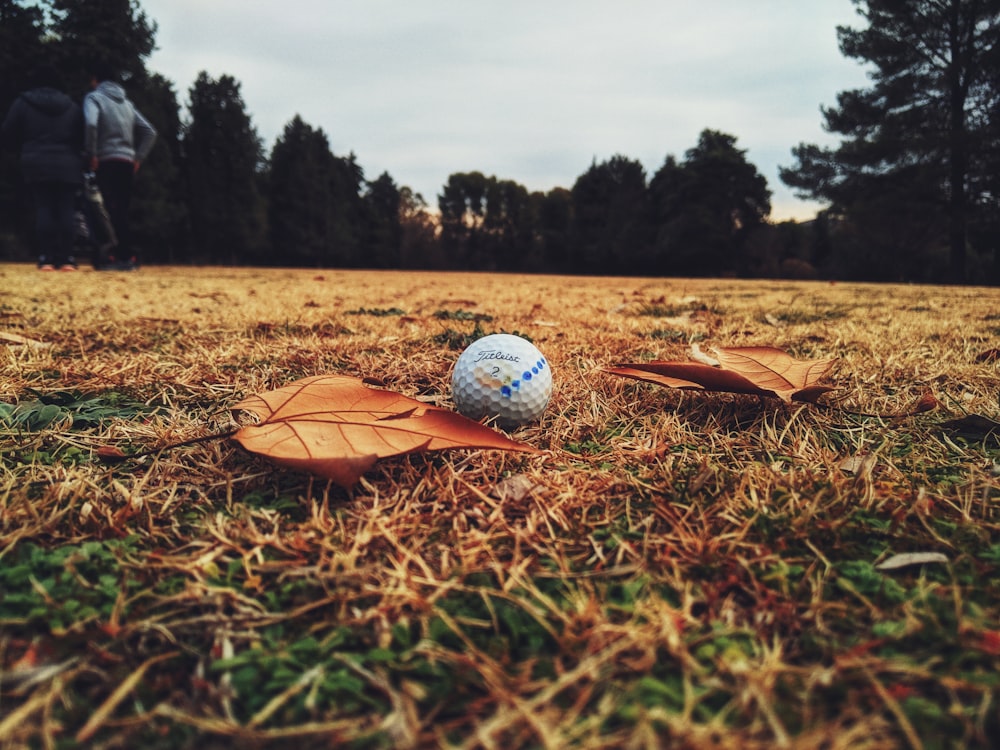 pallina da golf bianca sul campo in erba verde durante il giorno