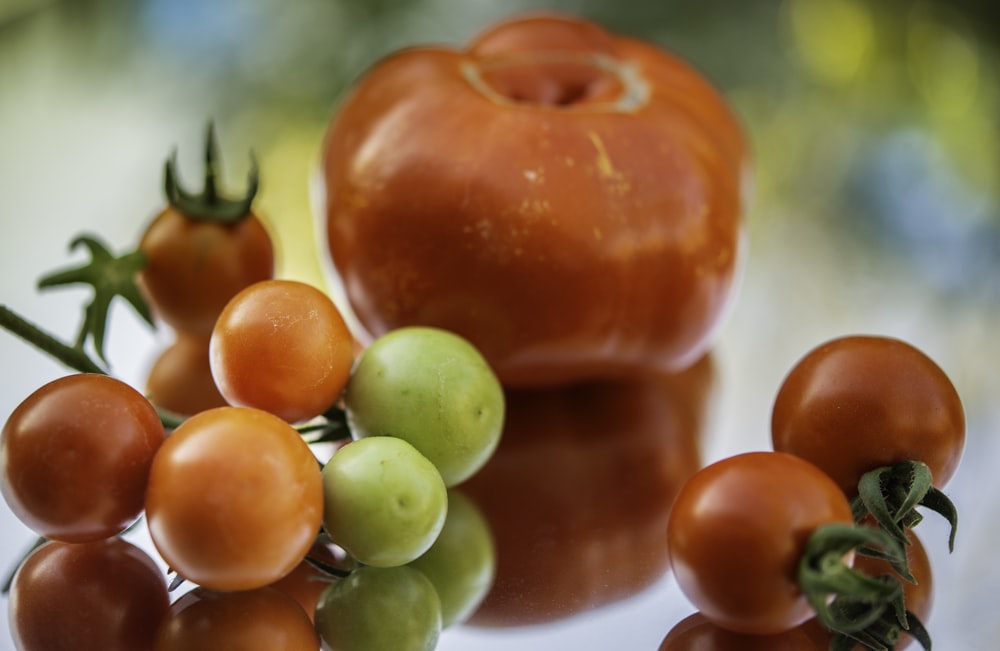 red apple fruit beside green and red grapes