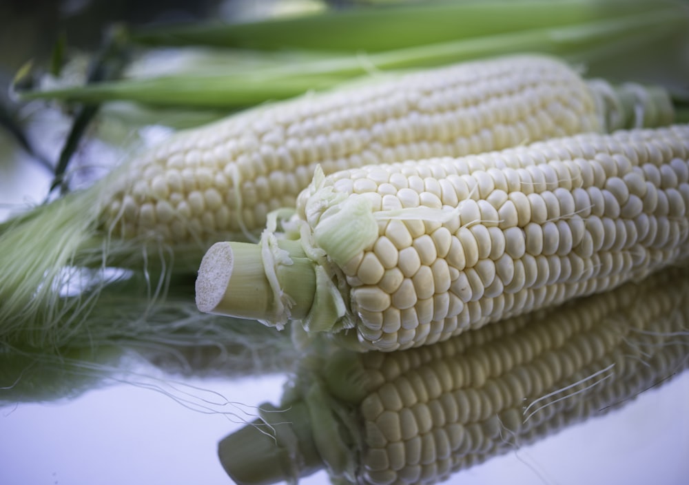 corn on green plastic pack