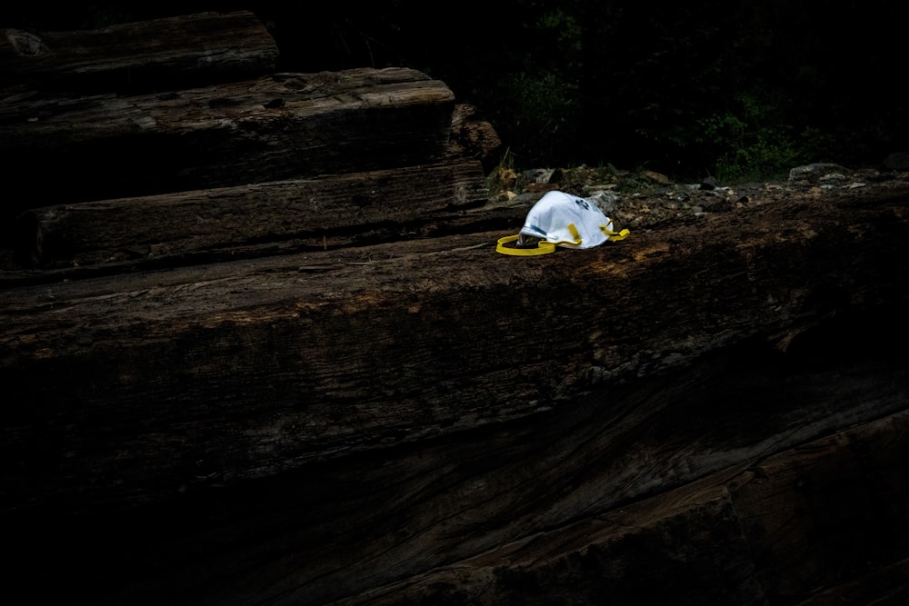 white textile on brown wooden log